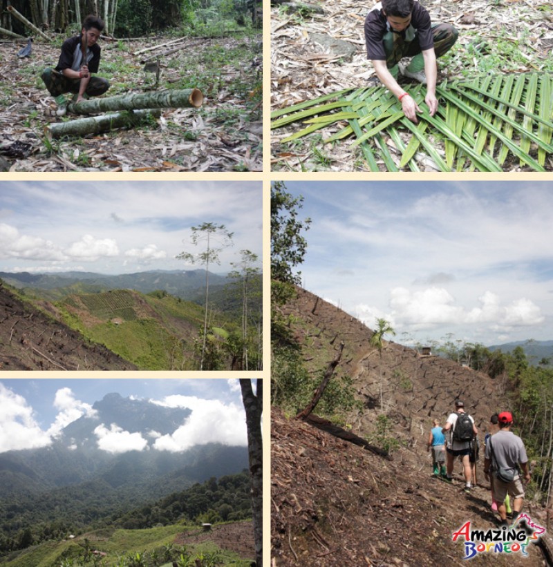 Borneo Jungle Trekking - "Survival Camp"